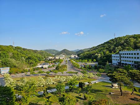 학교전경